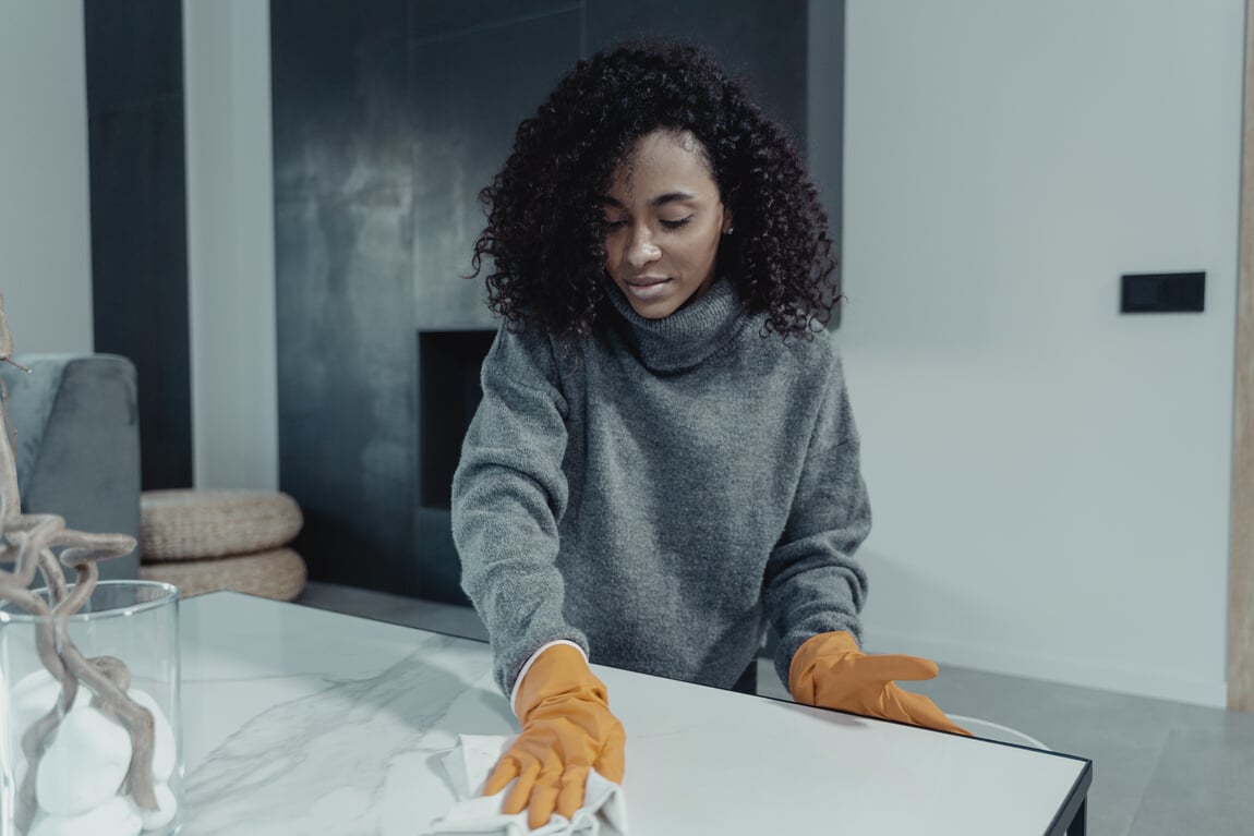 Woman Cleaning the House