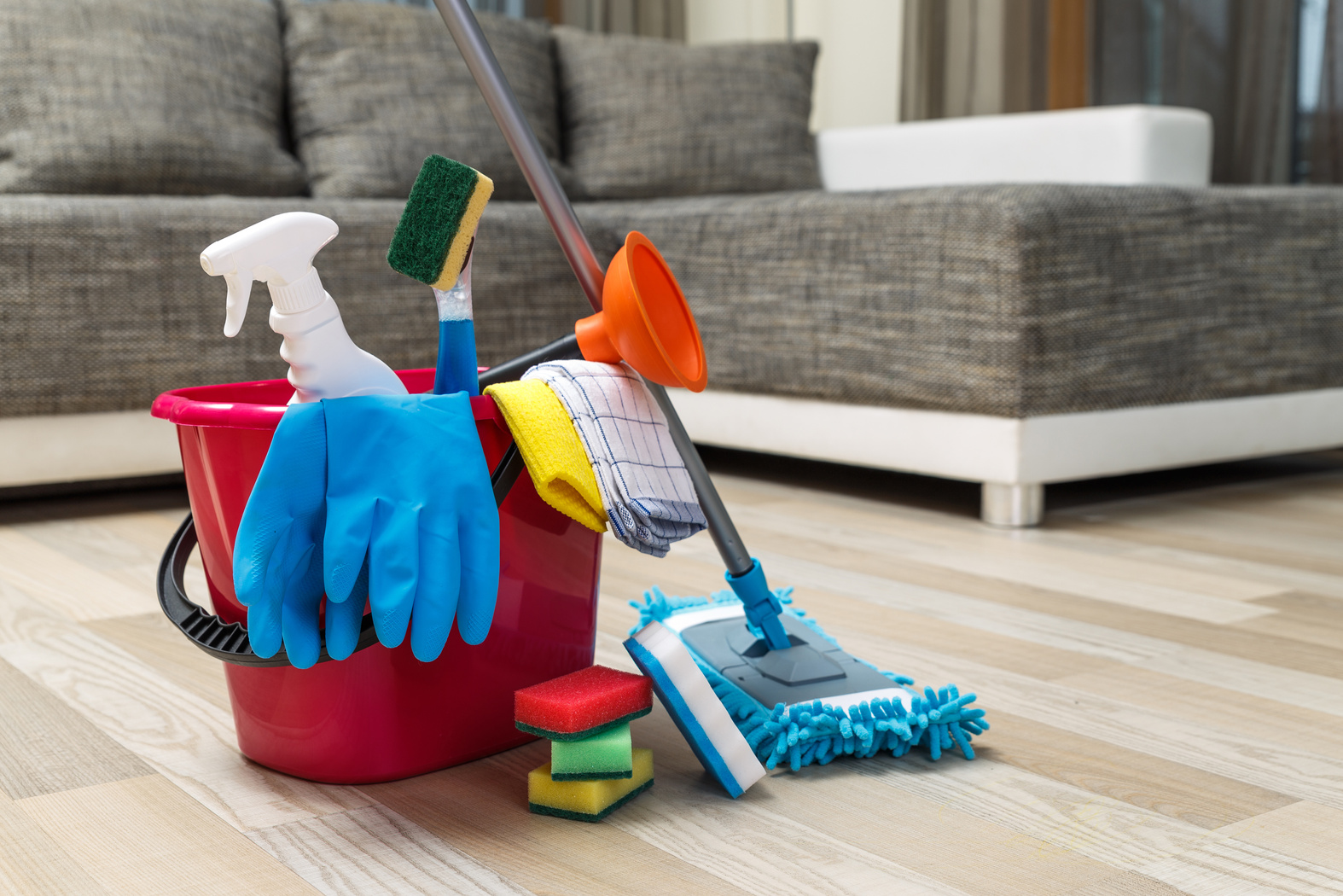 Cleaning service. Sponges, chemicals and mop.